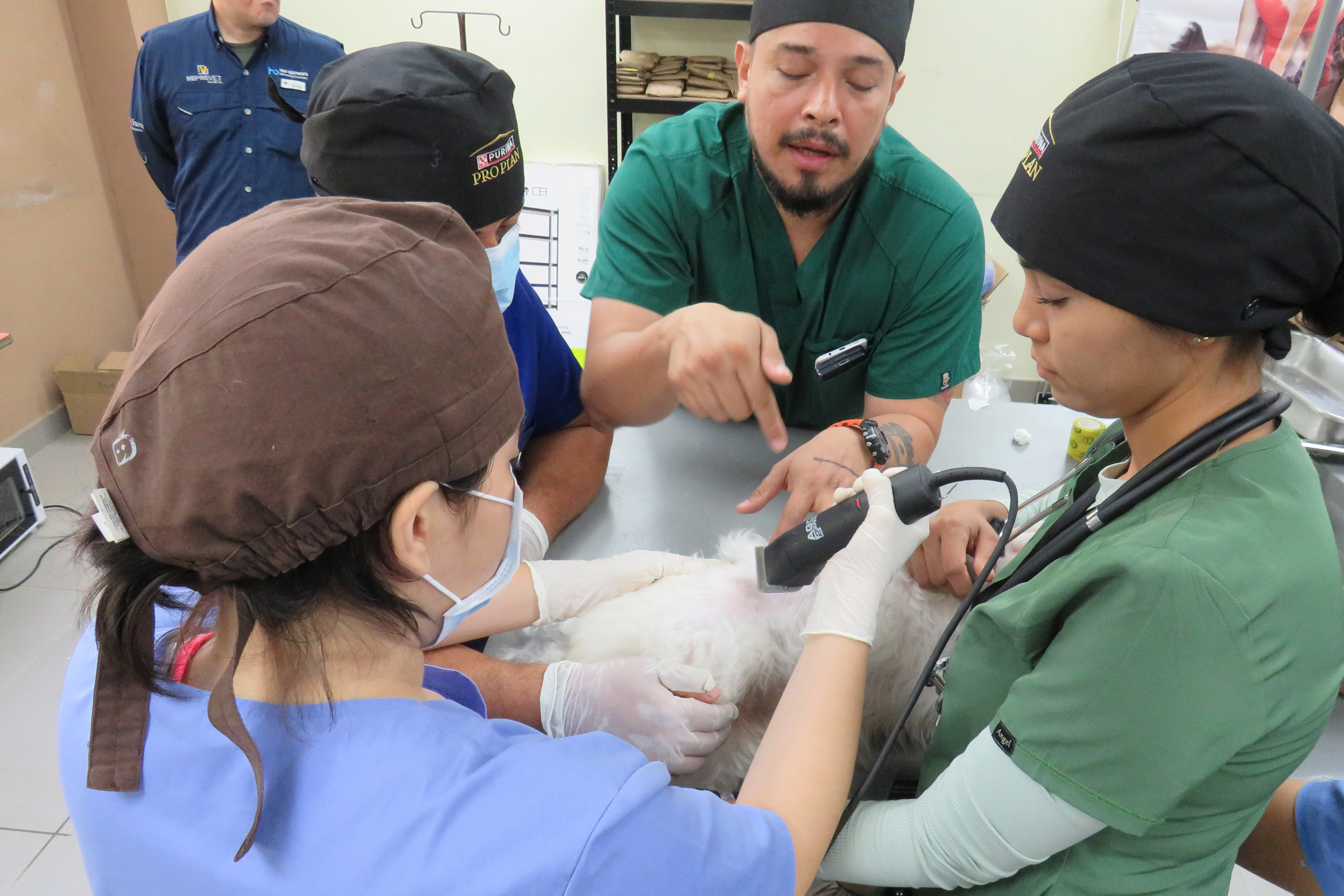 Una Experiencia Formativa Integral en la FMO-UES, Taller Teórico-Práctico ExpoVet: Actualización en Técnicas de Esterilización en Mascotas