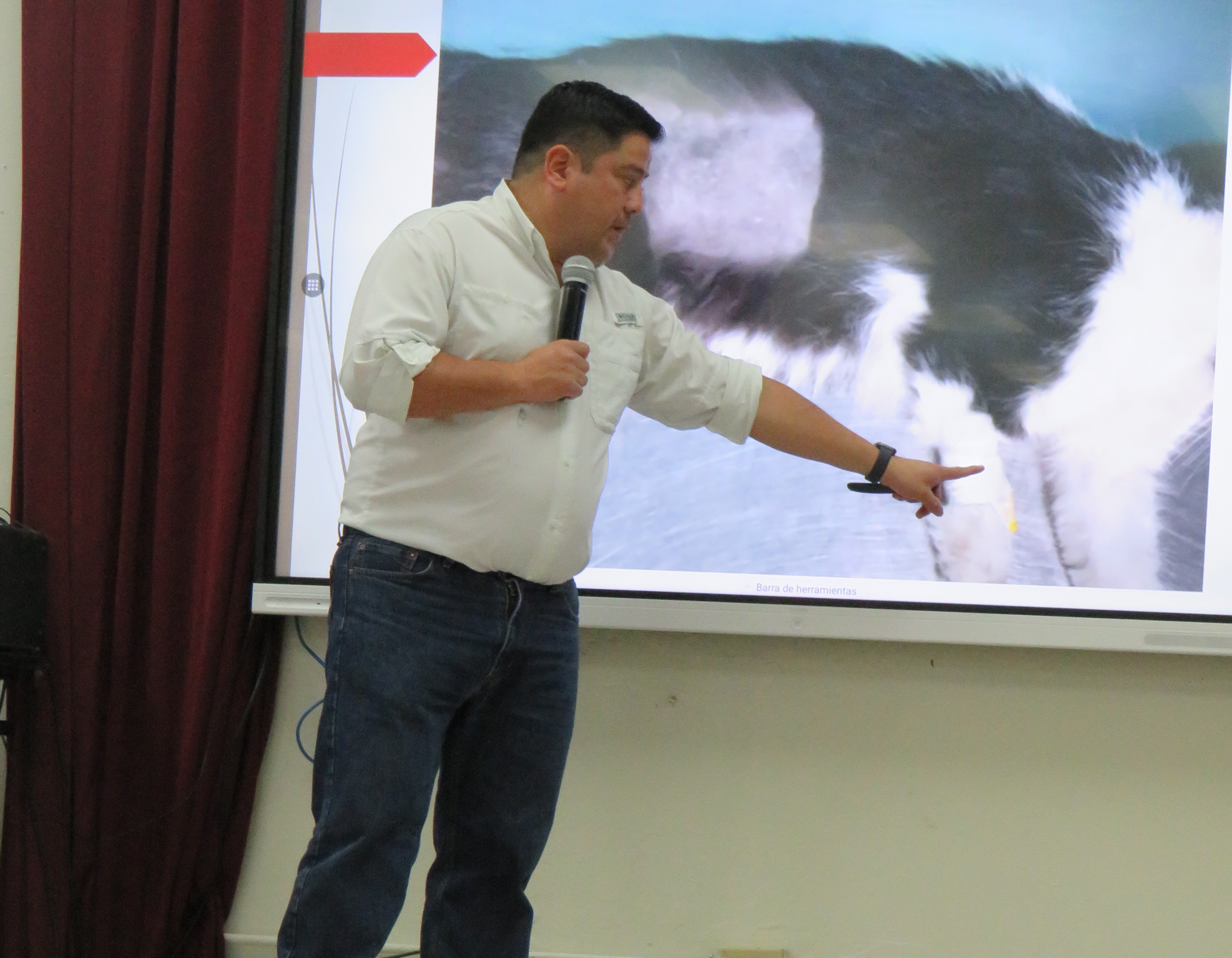 Taller Teórico-Práctico de ExpoVet: Actualización de Técnicas de Esterilización en Mascotas